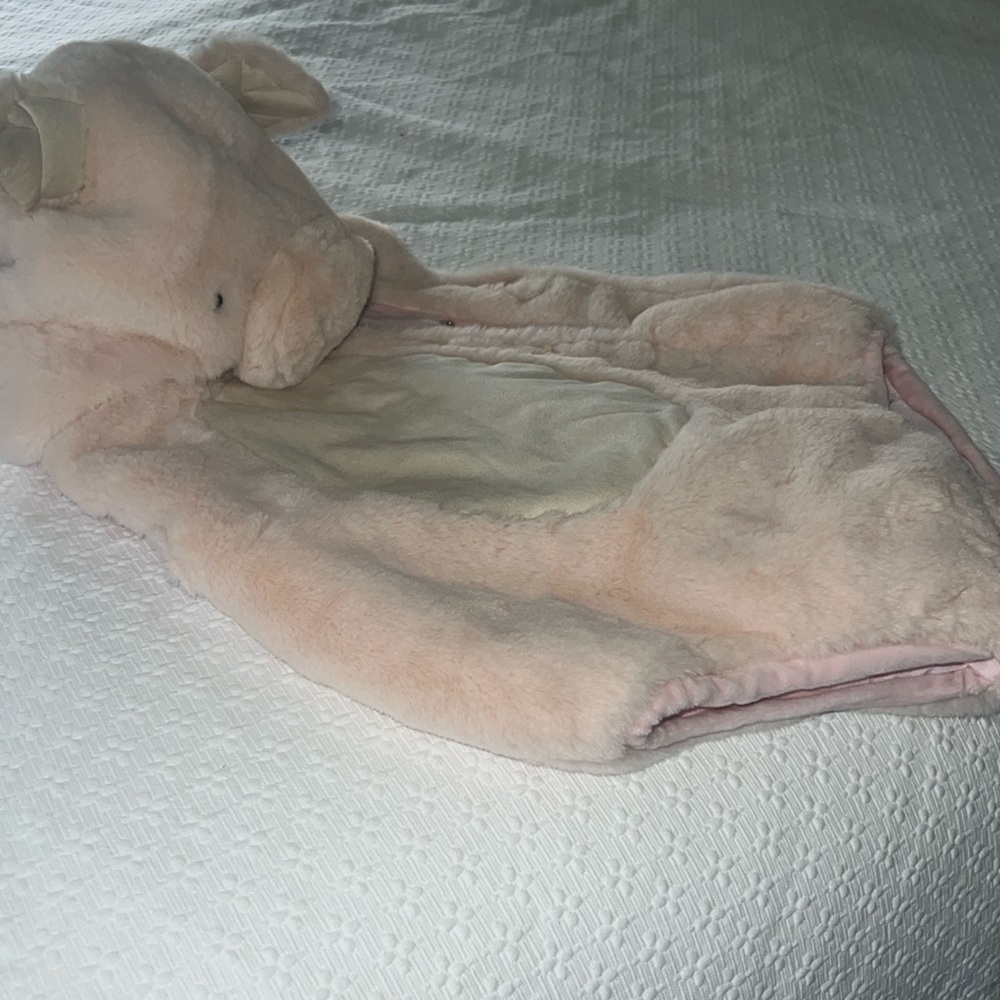 Halloween costume pottery barn